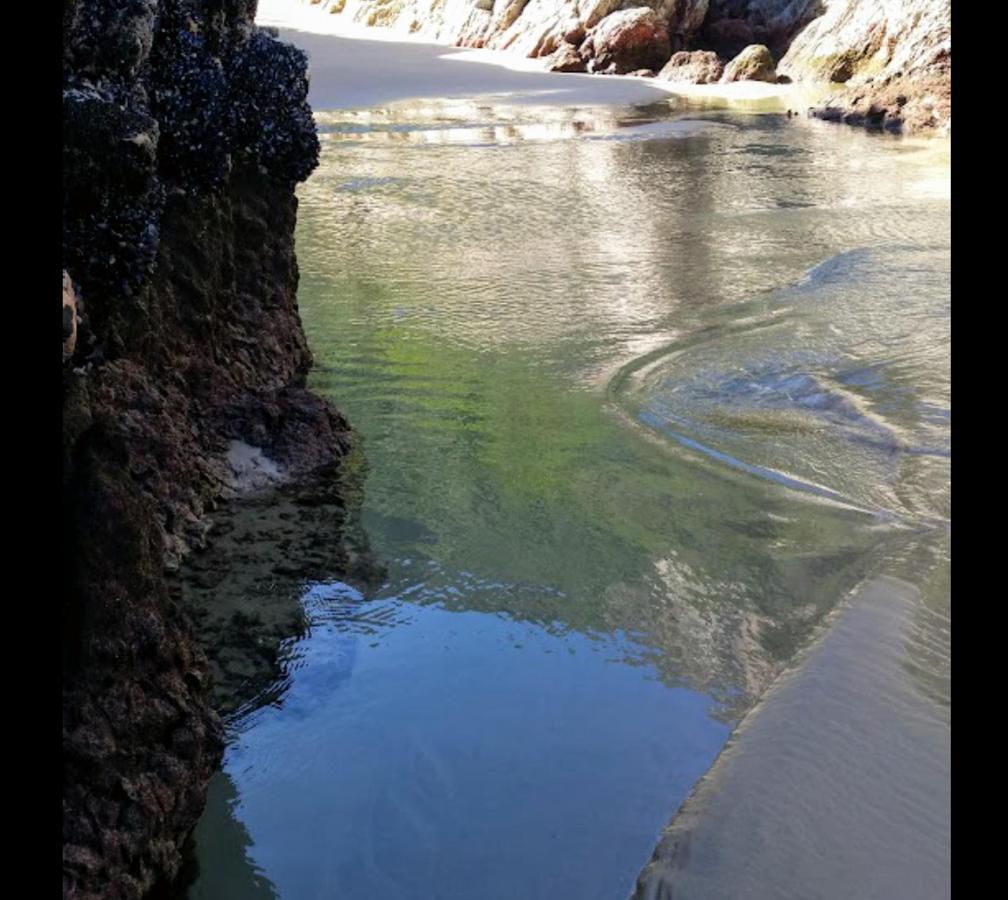 Entre Mer Et Foret Beach House Garden Route Нейчерс-Валли Экстерьер фото
